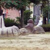 公園のアイドル