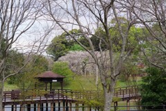 東屋の有る橋