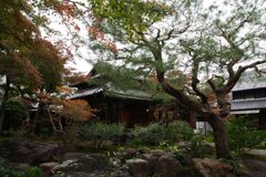 日本庭園