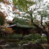 日本庭園