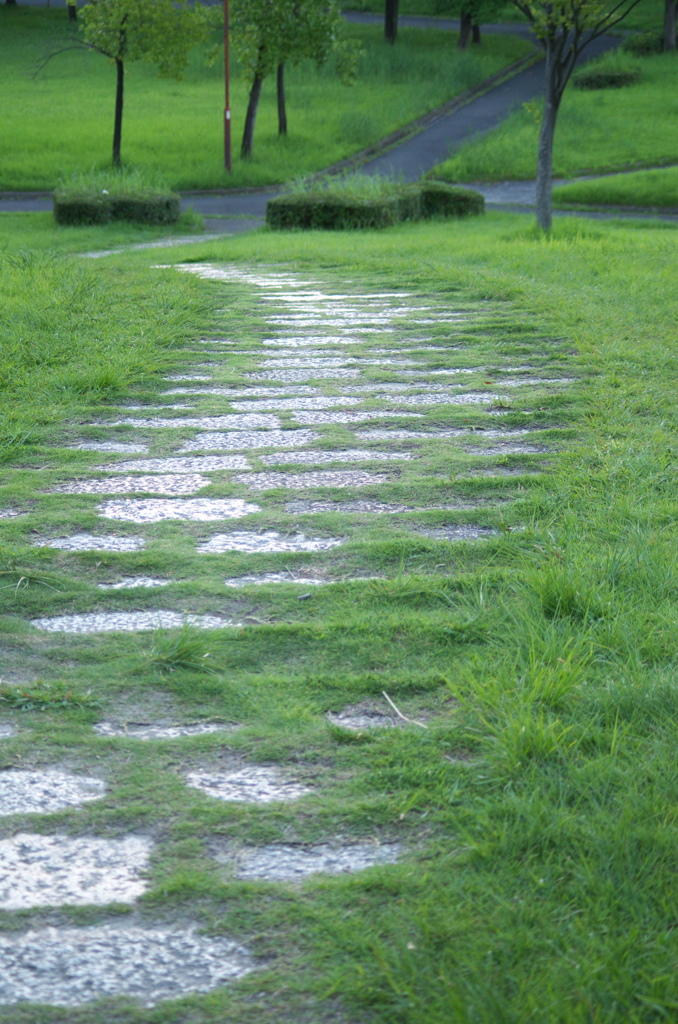 道