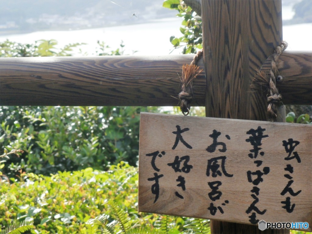 私も大好きです