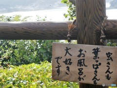 私も大好きです