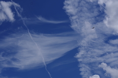 青空と雲