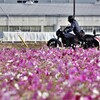 寄り道