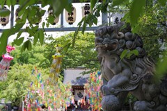 七夕の神社