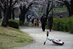 遊ぶのに夢中