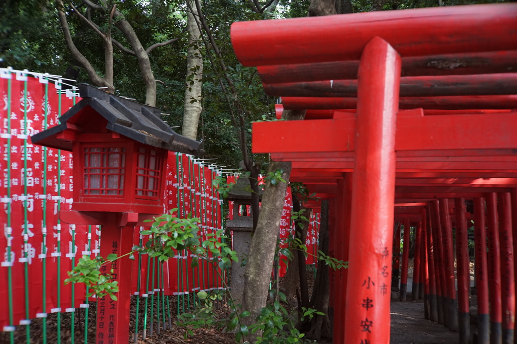 稲荷神社に願いを込めて