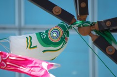 からまったぁ～誰か助けてぇ～！