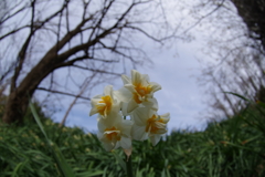 開きすぎ