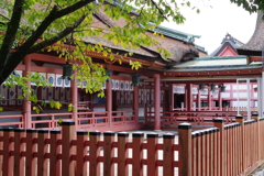 津島神社　本殿