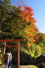 神社の紅葉