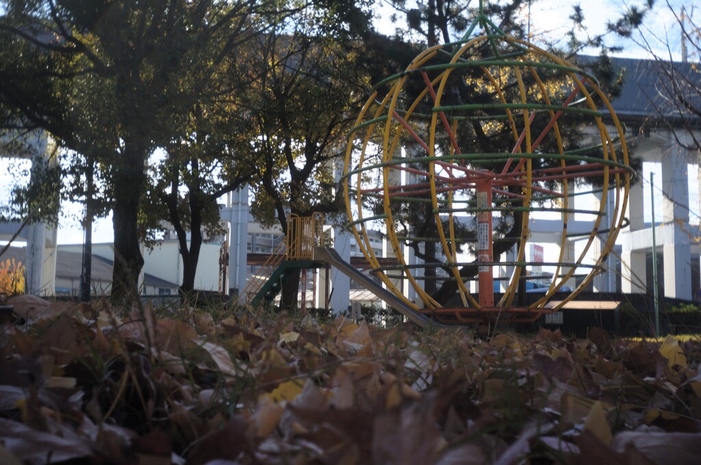 冬の公園