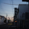ホルモン屋