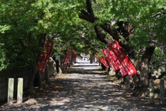 癌封じ寺 癌封じ寺