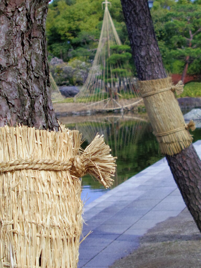 そろそろ暑くなってきた