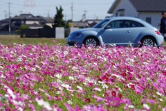 ワーゲン