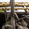 背中が怖い