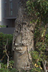 ひと皮が剥けた