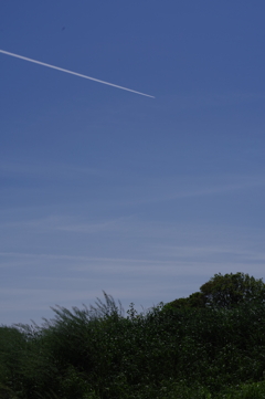 飛行機雲