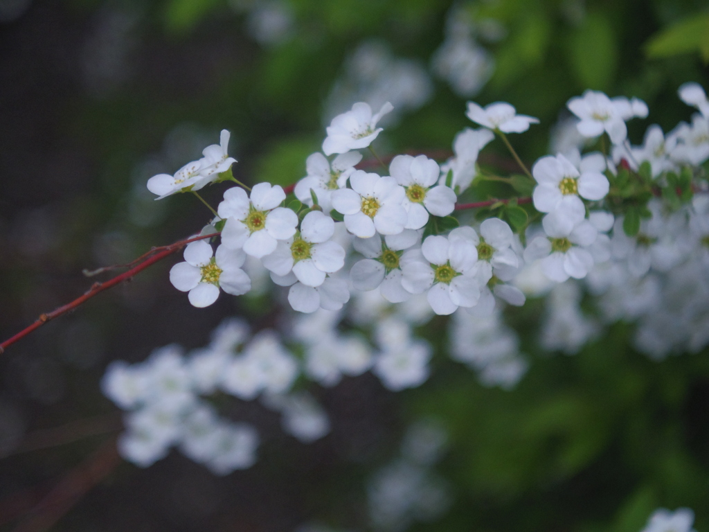 怪しいレンズ　2