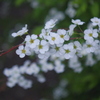 怪しいレンズ　2