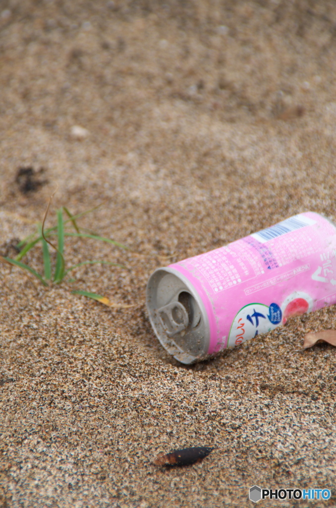 ビーチにピーチ捨てたの誰だ！