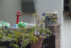 この家は俺が守る！