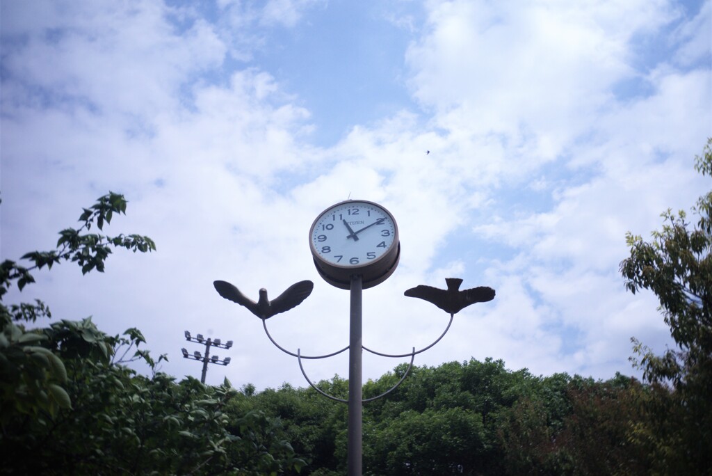 怪しいレンズの写り