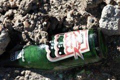 見たことないぞ！