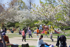 春休みの公園