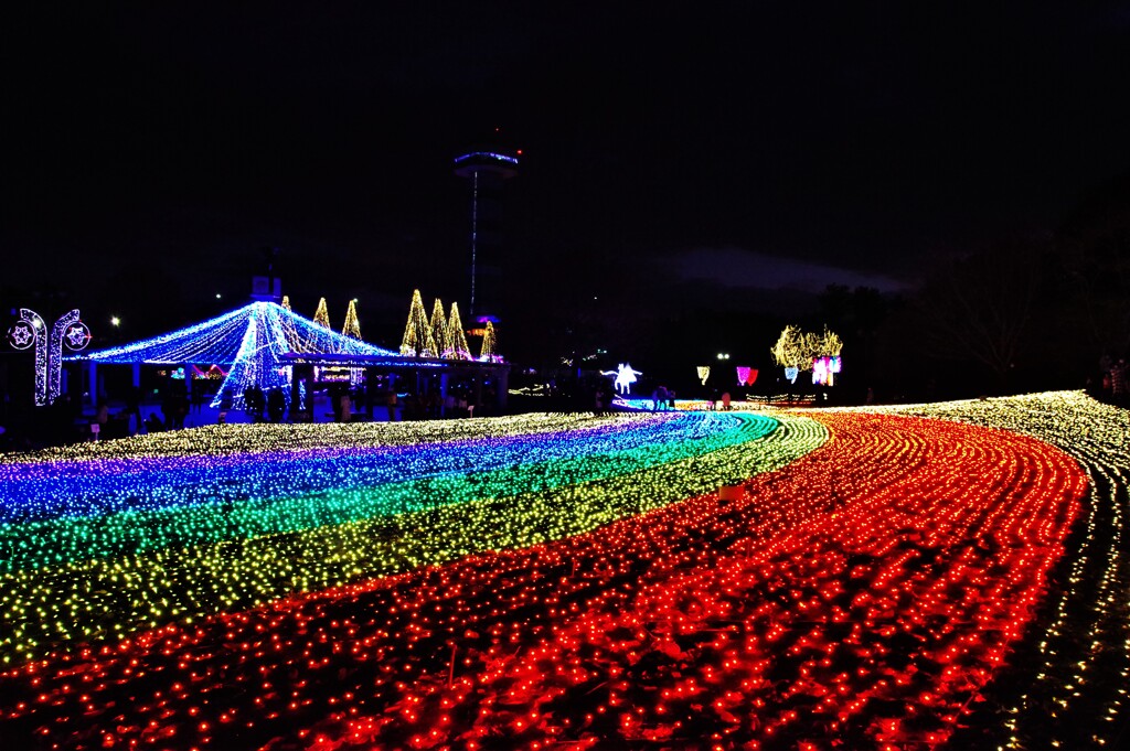 木曽三川公園イルミ