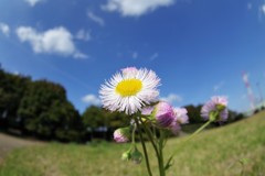 試し撮り