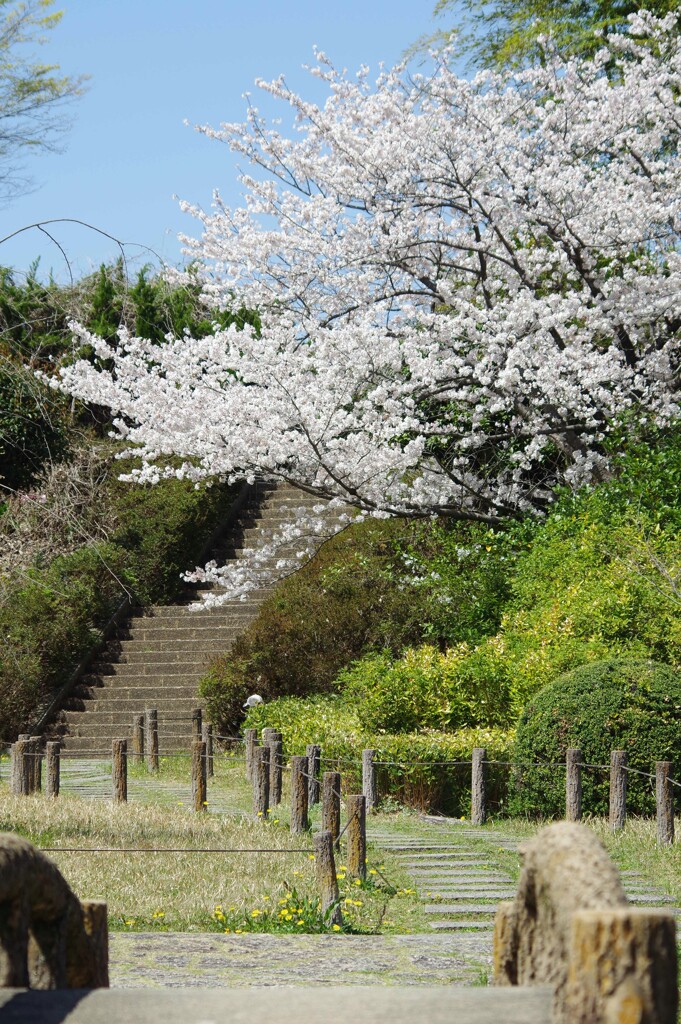 道
