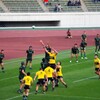 シーズン到来
