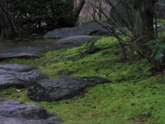 飛び石の道