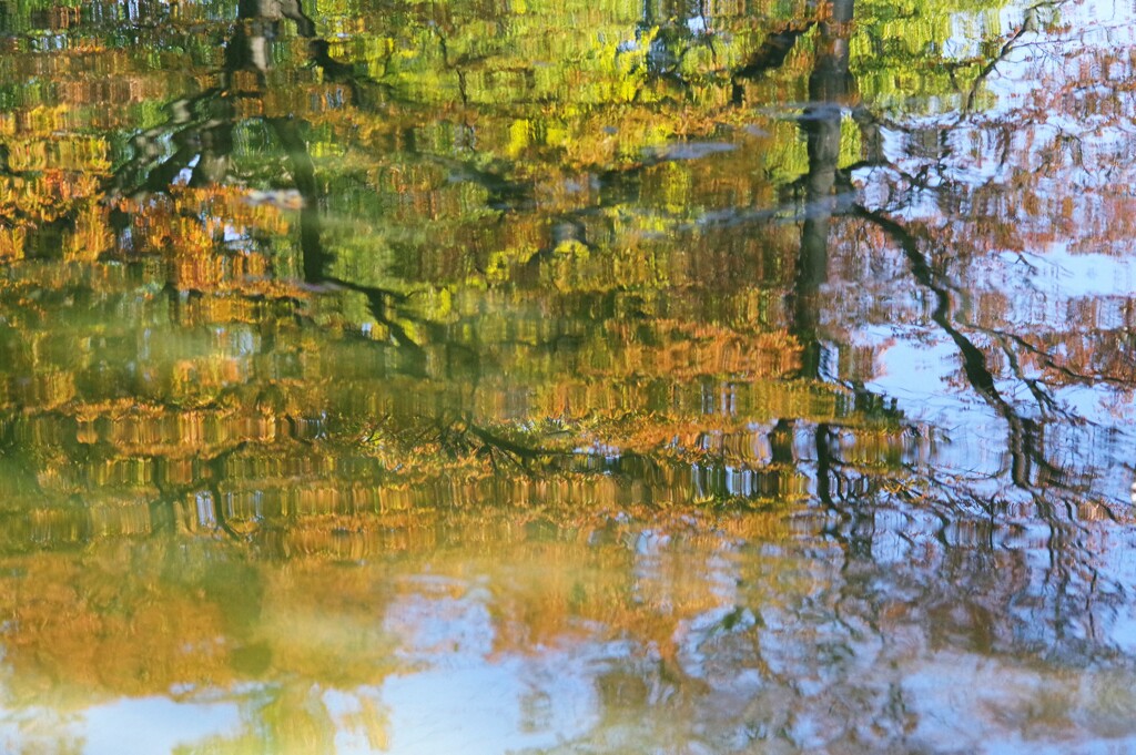 池の紅葉
