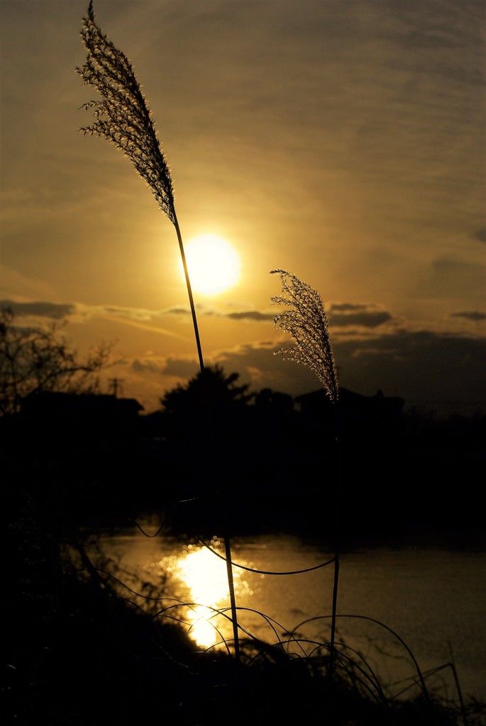 夕日