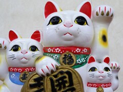 何か良いことありそうな？