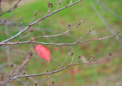 最後まで頑張ったよ