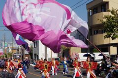 ど真ん中祭り