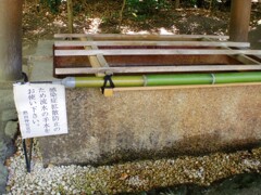 神社の手水舎