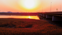 夕日に燃え〜