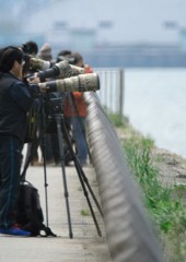 太刀打ちできない