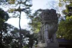 狛犬