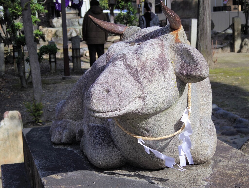 今年は丑年