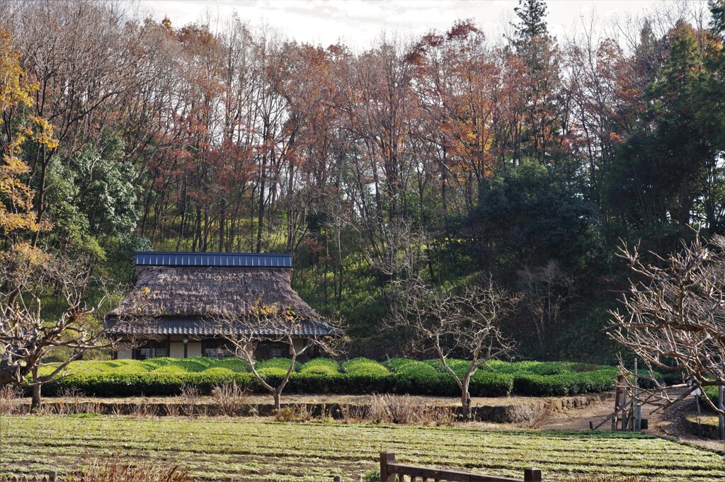 里山