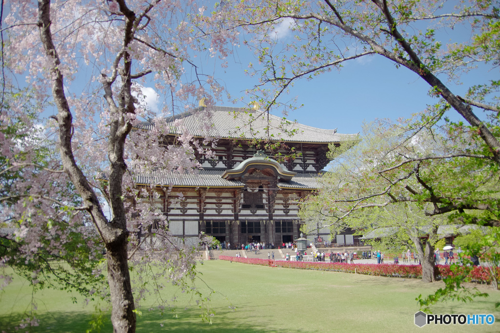 春の東大寺