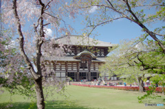 春の東大寺