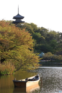 夕方